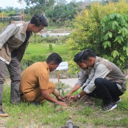 Wujud Lestarikan Lingkungan, Mahasiswa KKN UIN Suska Riau Desa Dosan Siak Adakan Kegiatan Penghijauan
