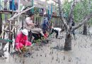 Mahasiswa KKN UIN Suska Kecamatan Merbau Turut Serta Menanam Bibit Pohon Mangrove